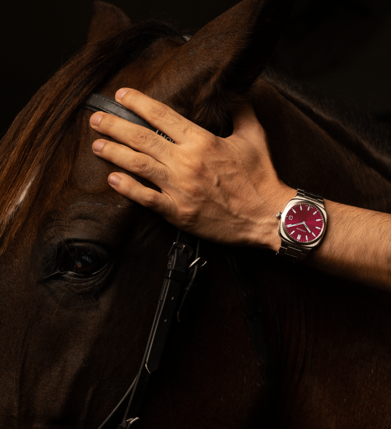 Strata timepiece detail with horse